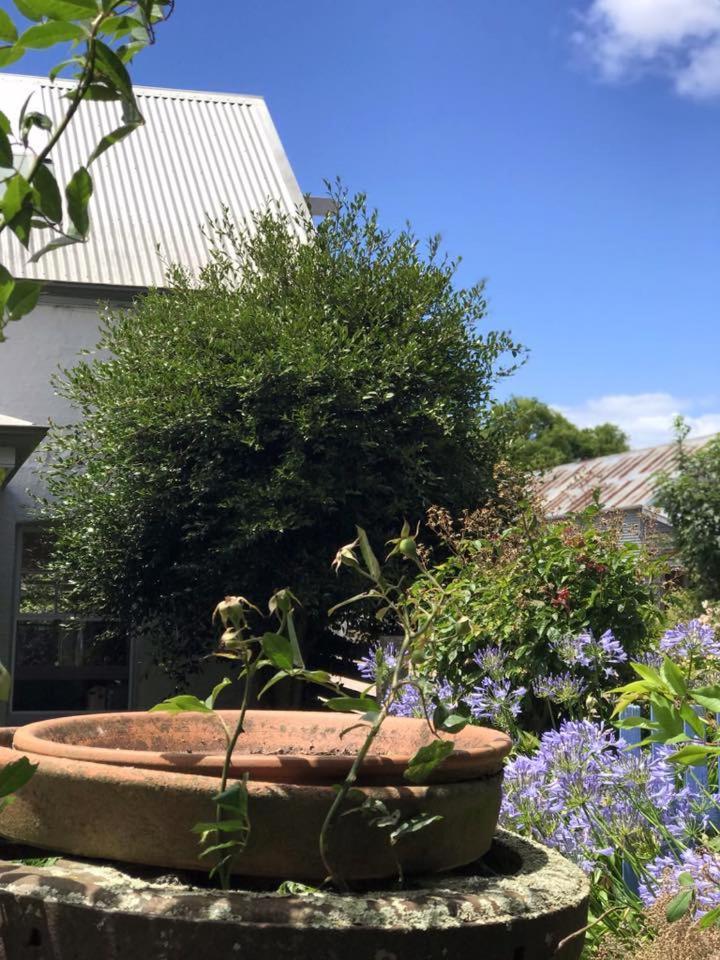 Robin Hoods Well Farm Stay Sassafras Exterior photo